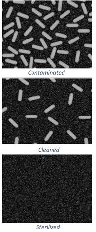 Contaminated. Cleaned. Sterilized.