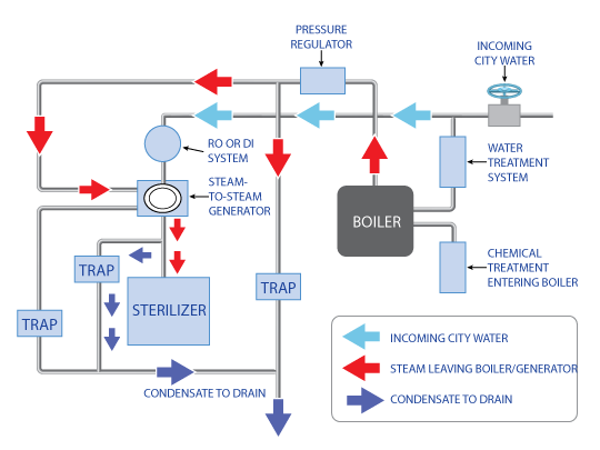 Steam to steam generator