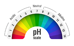 pH Scale