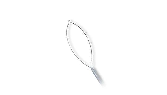 Rotator Polypectomy Snare Mini Oval